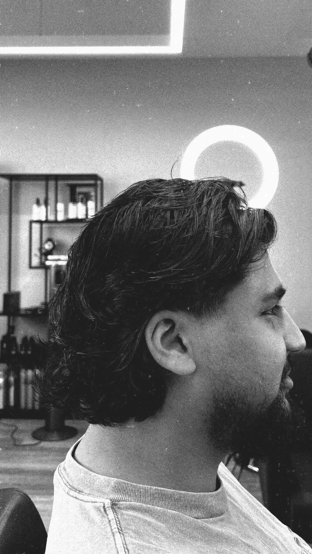 Weicher Taper mit längerem, welligem Deckhaar im Studio Haco